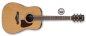 Preview: Ibanez Acoustic Guitar 6 String Neutral